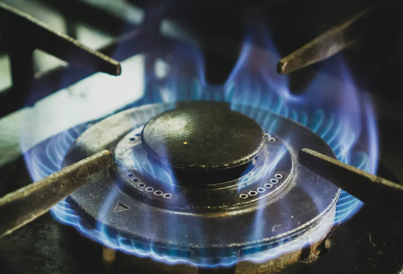 Domestic Gas Appliances & Heating Systems Training